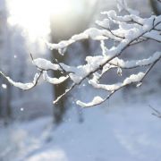 IMG_3584