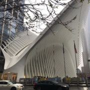 06-USA-SPSPB-23-03