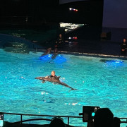 MicrosoftTeams-image-16