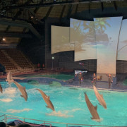 MicrosoftTeams-image-17