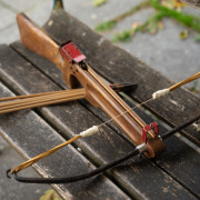 Skok-23-11