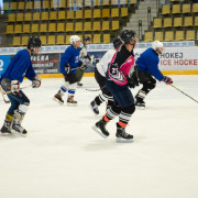 hokej-24-31