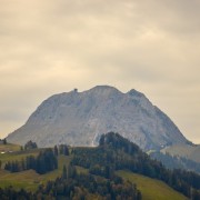 IMG_0883