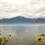 IMG_0926