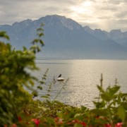 IMG_0996
