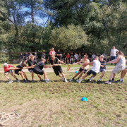 01be4d5a-ea90-4bb9-9ffe-63081a47abec