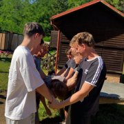 b3010ea0-143c-4077-9dc6-a77ed834976f