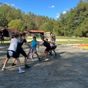 bcc7d2c2-8e36-4e4d-89ef-0dafb1c5e4cf