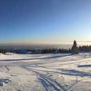 IMG-20230206-WA0008