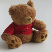 a_bear4