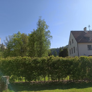 IMG_20210601_090307