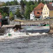 1_IMG-20250605-WA0000