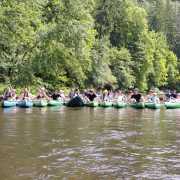 IMG-20250605-WA0035